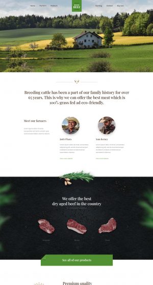 Theme WordPress quốc tế Ecobeef