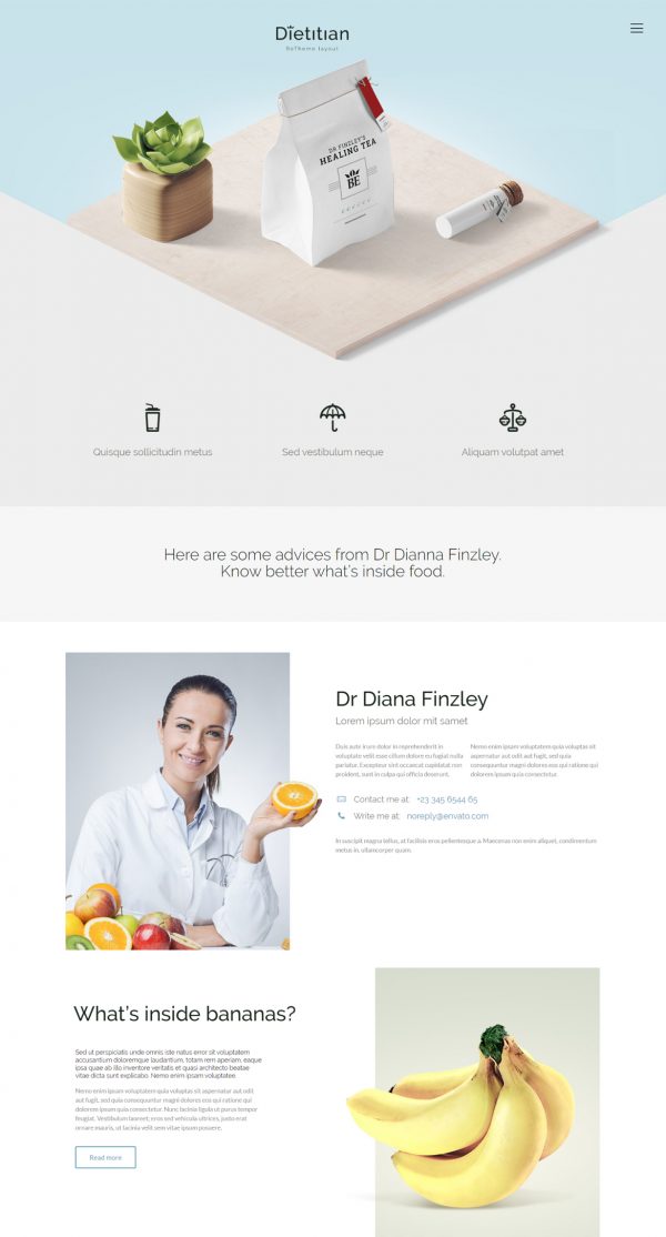 Theme WordPress quốc tế Dietitian