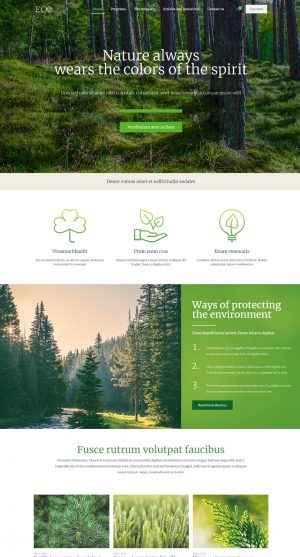 Theme WordPress quốc tế Eco