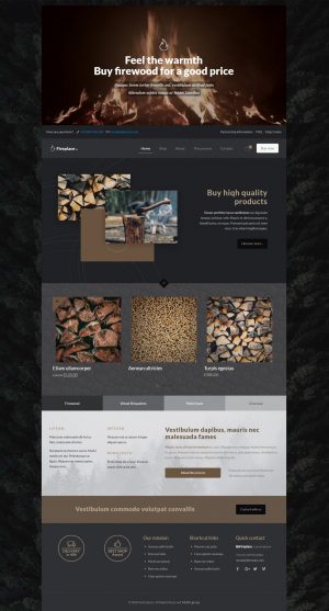 Theme WordPress quốc tế Fireplace